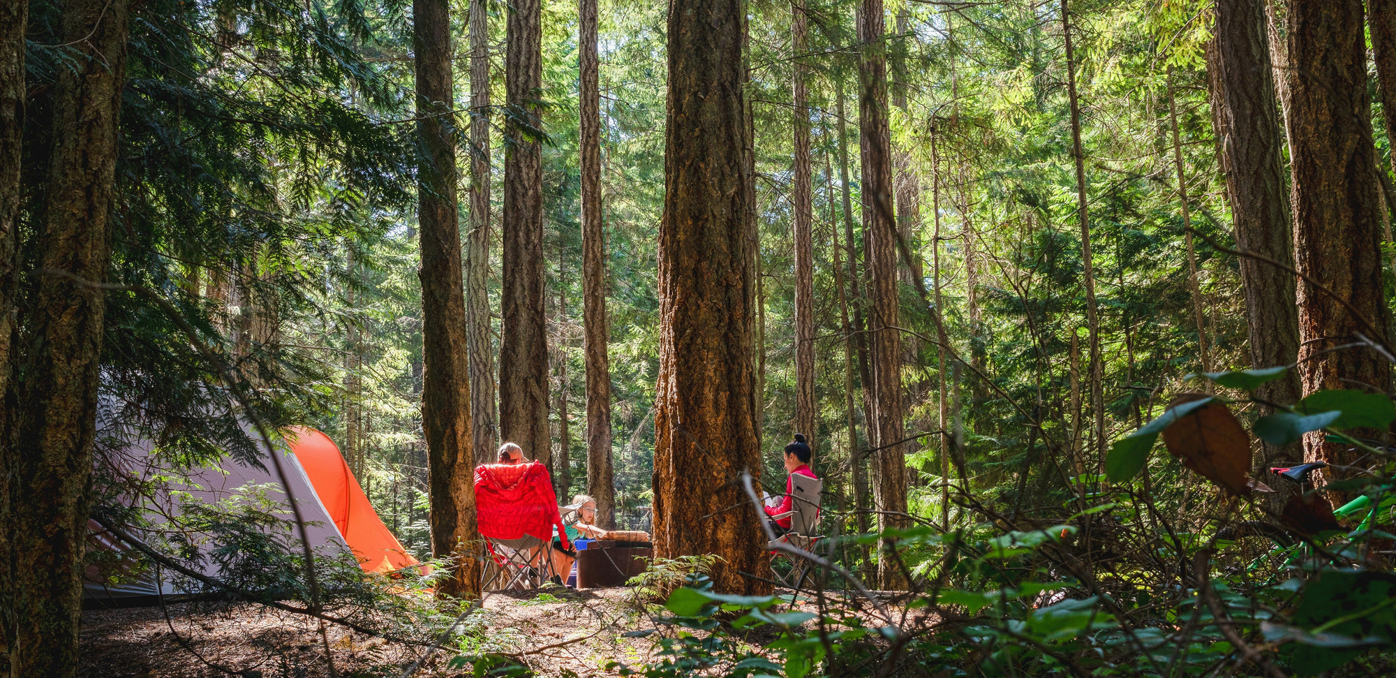 Essential Summer Camping Guide: Beat the Heat and Bugs